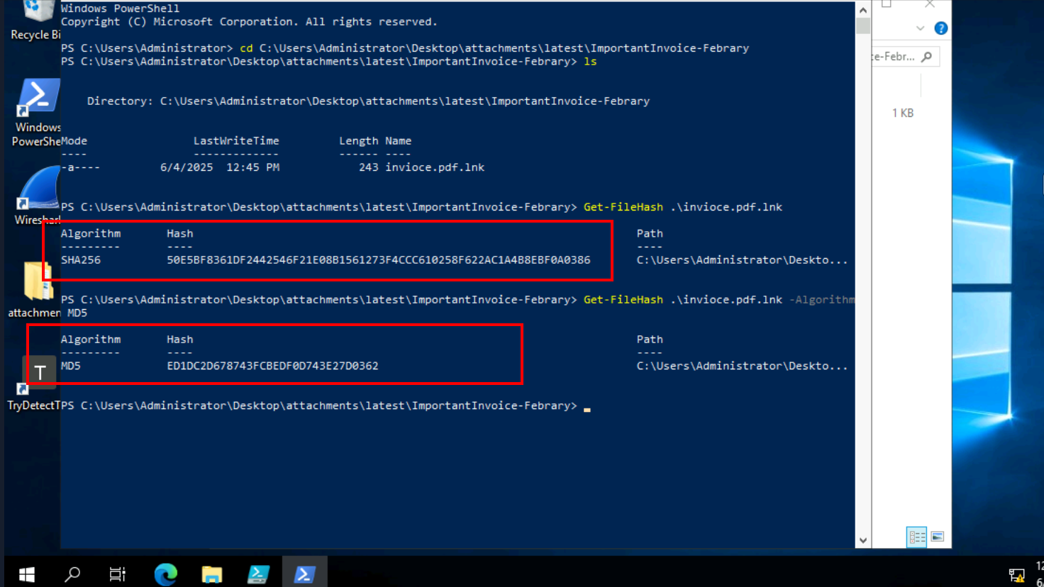Netplan Apply Screenshot